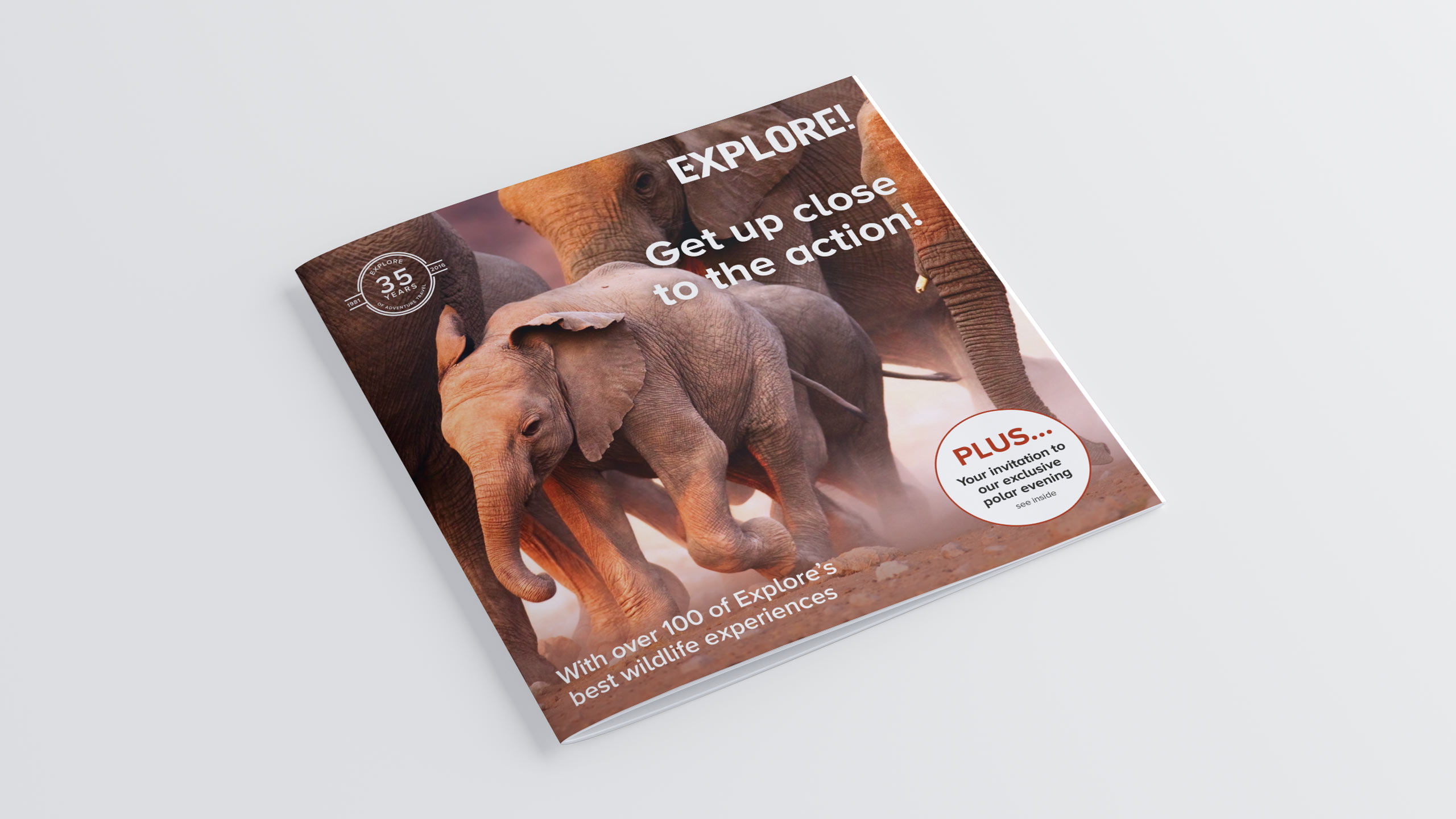 adventure travel brochure design refresh front cover elephants wild life direct marketing